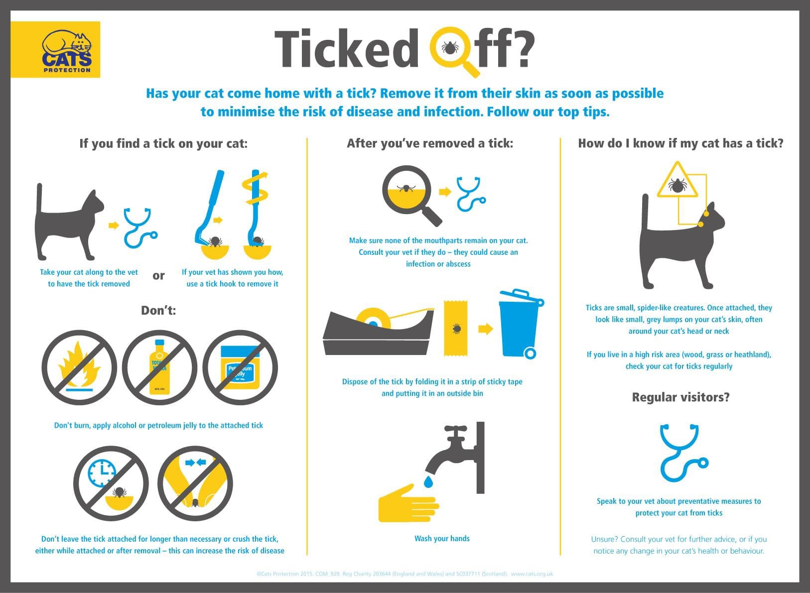 How to remove a tick from your cat guide