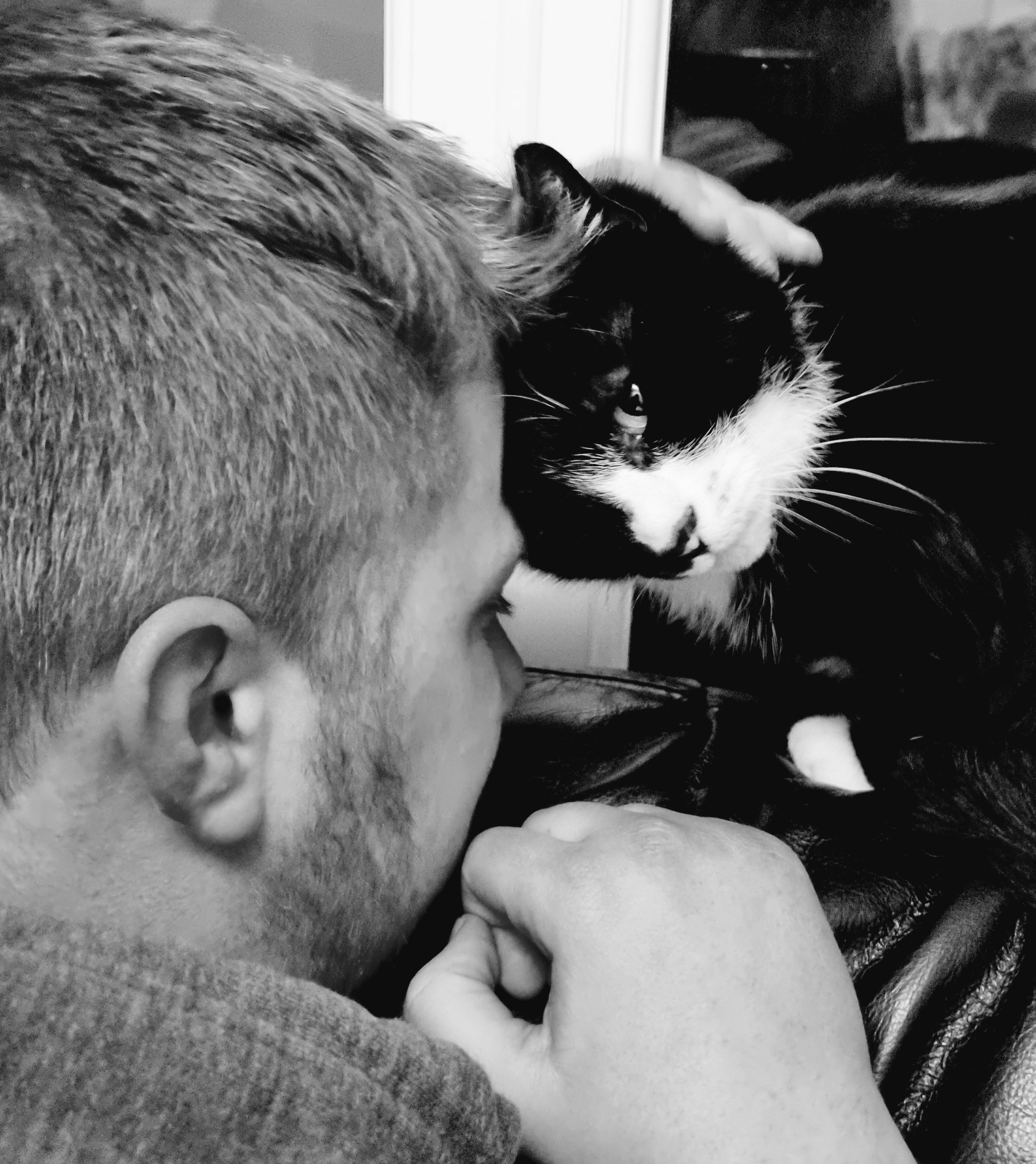 black-and-white photo of man with short hair and beard head-bumping a black-and-white cat