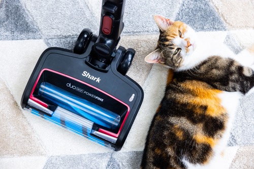 tortoiseshell -and-white cat lying next to Shark vacuum cleaner