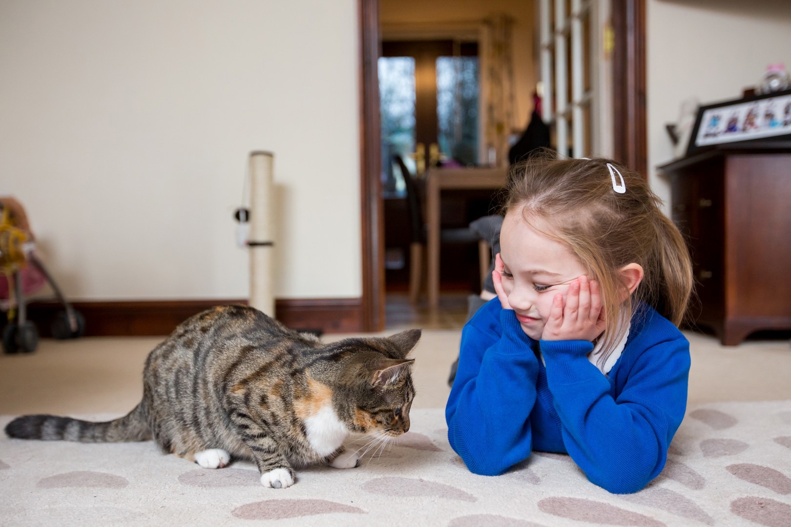 cats-and-children-information-and-advice-cats-protection