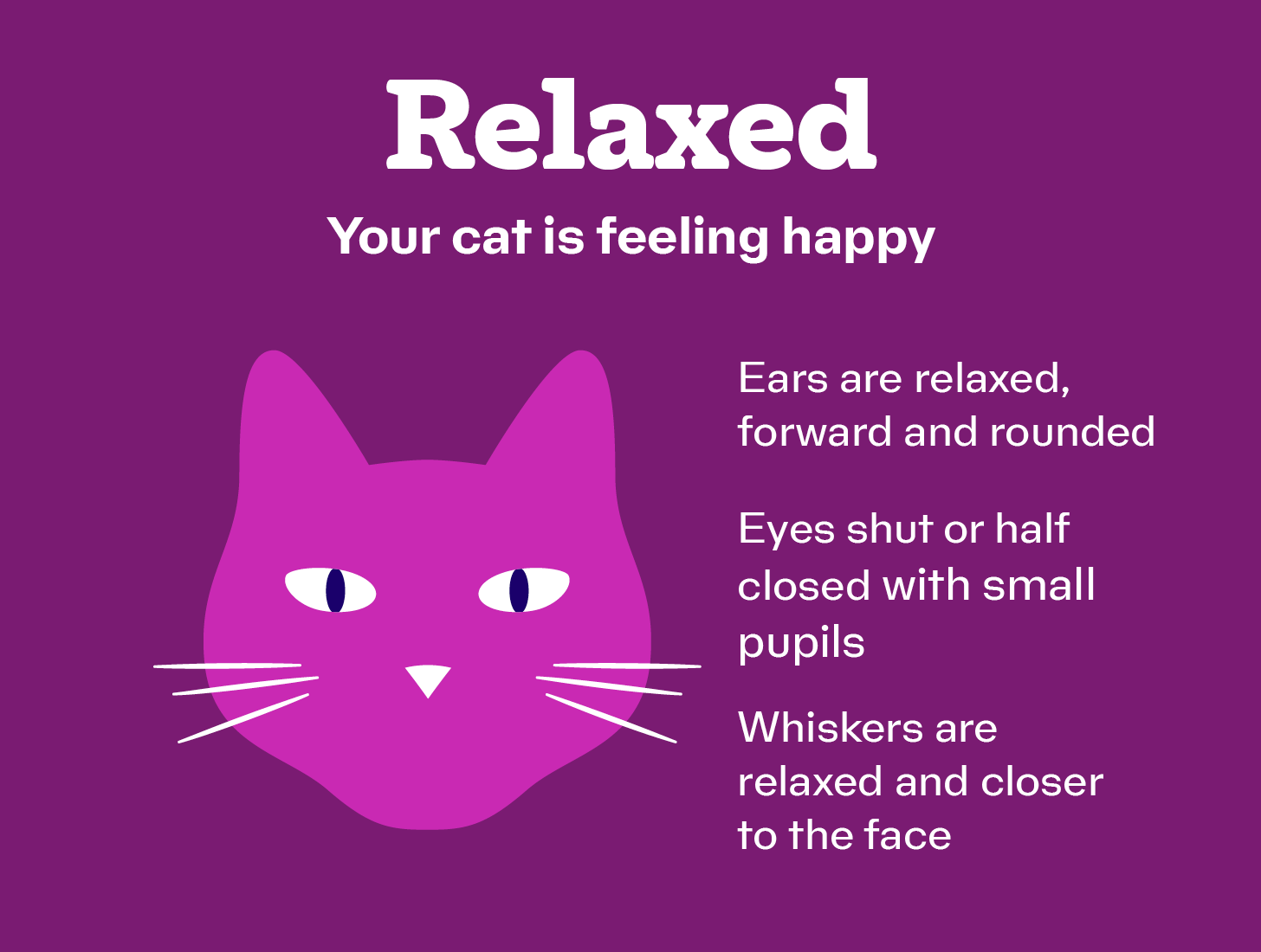 An infographic about a cat being relaxed