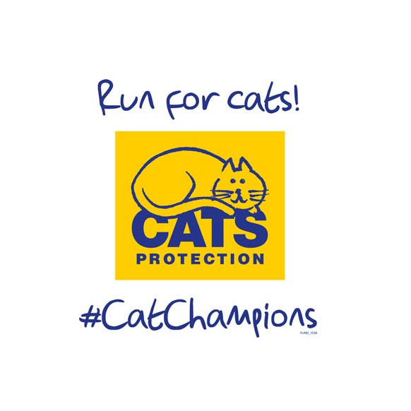 Register your own run for cats