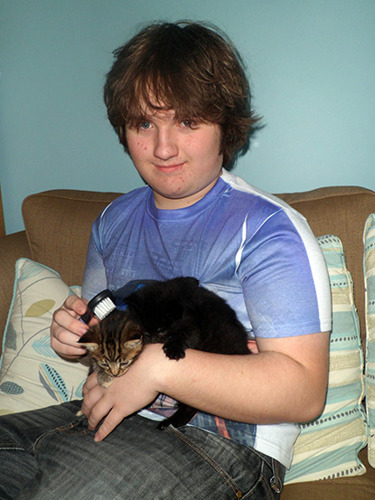 young boy grooming two kittens