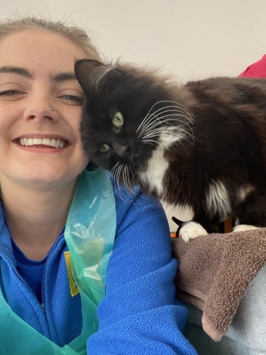 Brunette woman wearing blue Cats Protection fleece and plastic apron being head-butted by black-and-white cat