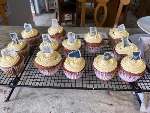 Cupcakes on a wire rack decorated with edible paper cat decorations